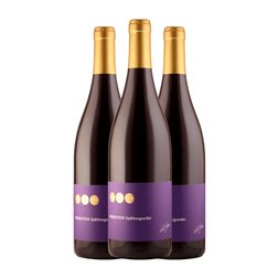 Bunn Strebel Pinot Negro Trocken — Seco Rheinhessen 75 cl Vino Tinto (Caja de 3 unidades)