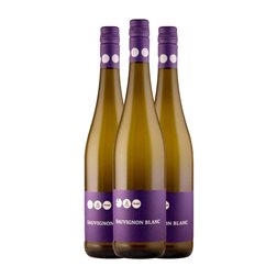 Bunn Strebel Sauvignon Trocken — Seco Rheinhessen 75 cl Vino Blanco (Caja de 3 unidades)