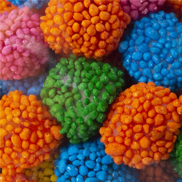 Burmar 1kg Crunchy Asteroiden Beeren.-detalle