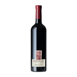Burrowing Owl Cabernet Franc Okanagan Valley 75 cl Vino Tinto