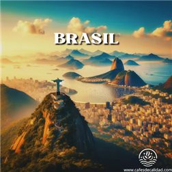 La traducción de "Café Brasil" al francés es "Café Brésil".