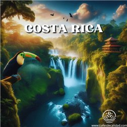 Café Costa Rica se traduce al francés como "Café Costa Rica". Los nombres de lugares y productos específicos generalmente no se traducen. Sin embargo, si te refieres a "café" en general en francés, sería "café".