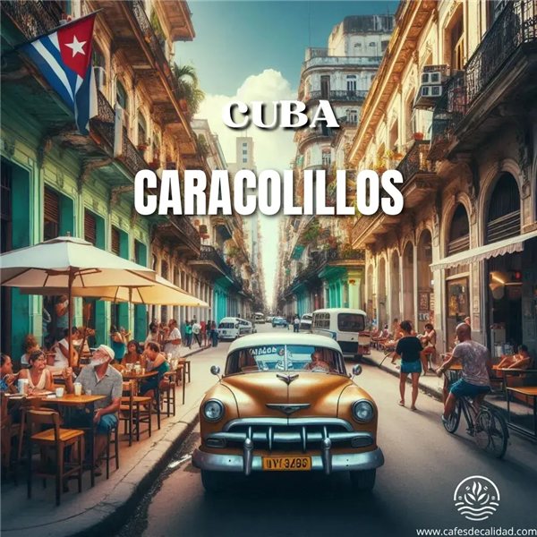 Café Kuba Caracolillos-detalle