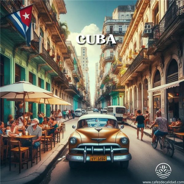 "Café Cuba" se traduce al francés como "Café Cuba". Los nombres propios, como los nombres de lugares o marcas, generalmente no se traducen.-detalle