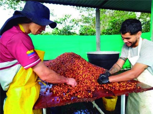 Spezialitätenkaffee Kolumbien San Gabriel Limitierte Edition 500 g-trasera
