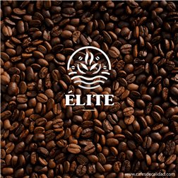 Café Gourmet Élite se traduce al francés como "Café Gourmet Élite". La frase ya está en francés. Si necesitas más información o ayuda con otra cosa, házmelo saber.