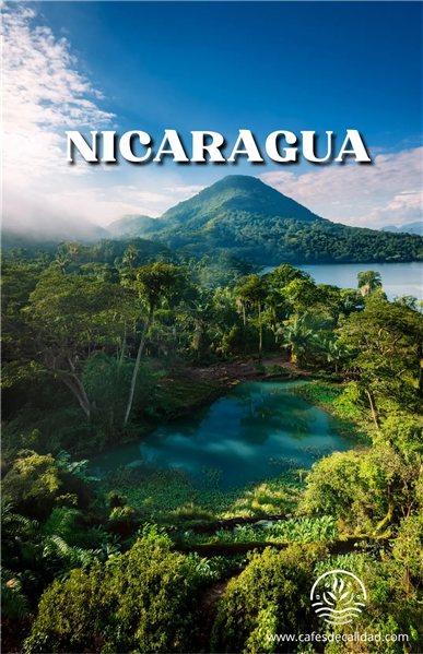 Café Gourmet Nicaragua se traduce al francés como "Café Gourmet Nicaragua". Los nombres de productos, como en este caso, a menudo se mantienen en su idioma original.-detalle