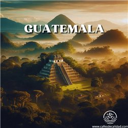 Café Guatemala se traduce al francés como "Café du Guatemala".