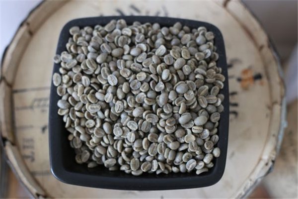 Jamaica Blue Mountain Coffee-trasera