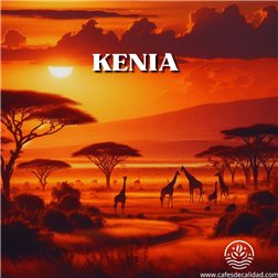 Café Kenya