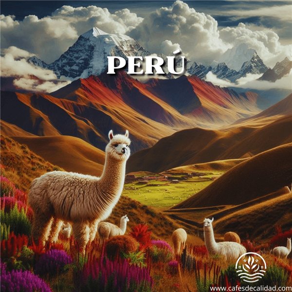 Café Pérou-detalle