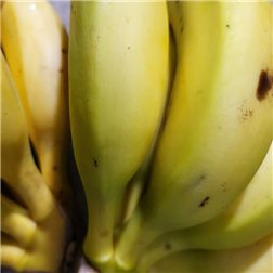 Caja de 10 kg de plátanos se traduce al francés como "Caisse de 10 kg de bananes".