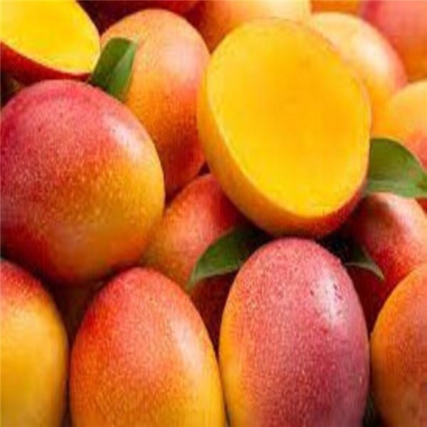 Caja de 5 kg de Mangos se traduce al francés como "Caisse de 5 kg de mangues".-detalle
