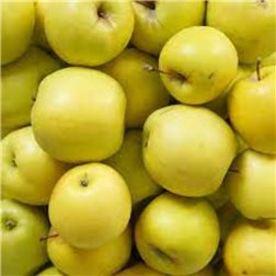 9 kg box of golden apples