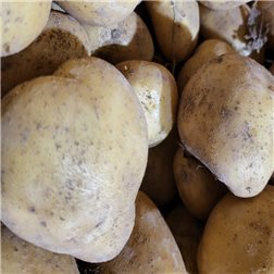 Caja de 9kg Patata para consumo