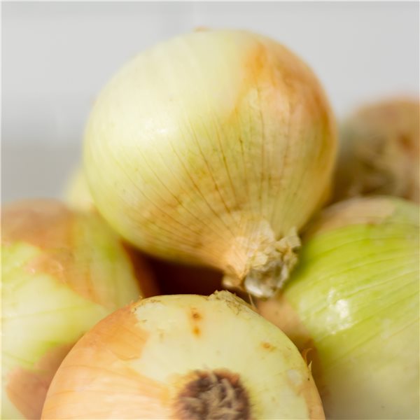 Box of Valencian Onions 10 Kg-detalle