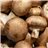 Boîte de champignons de 9 kg-detalle