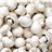 Boîte de champignons de 9 kg-lateral