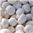 Boîte de champignons de 9 kg