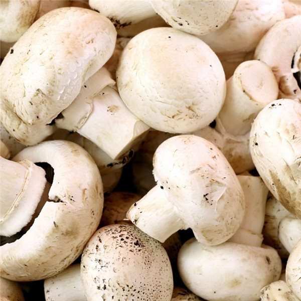 Boîte de champignons de 9 kg-trasera