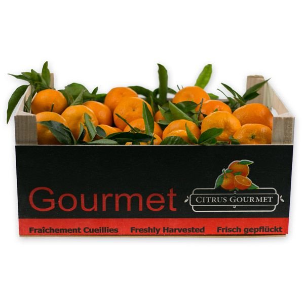 Caja de Mandarinas Valencianas de Mesa 8 Kgs-detalle