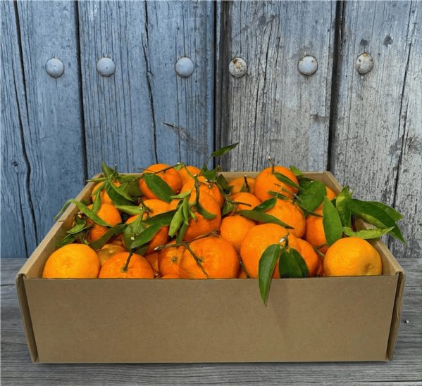 Caja de Mandarinas Valencianas Mesa Premium 10 Kgs-detalle