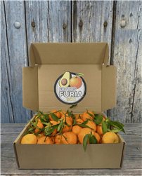 Caja de Mandarinas Valencianas Mesa Premium 5 Kgs