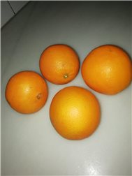 Caja de naranjas de Mesa de la variedad Navelina de 5kg
