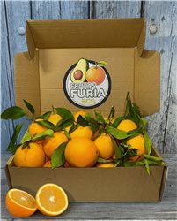 Caja de Naranjas Valencianas de Mesa Premium 15 Kg