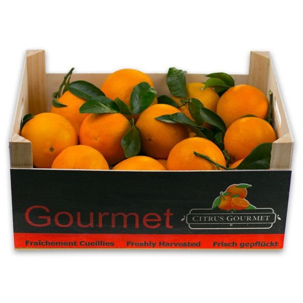 Caja de Naranjas Valencianas de Mesa Premium 8 Kg-detalle