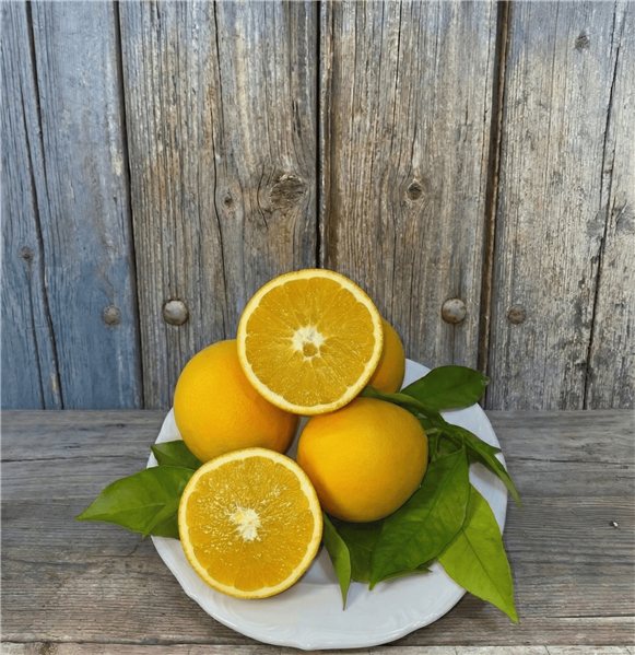 Caja de Naranjas Valencianas de Zumo 5 Kg-trasera