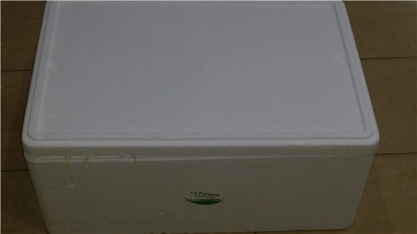 CAJA DE VERDURAS FRESCAS-lateral