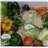 CAJA DE VERDURAS FRESCAS