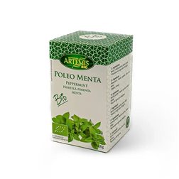 BOX INFUSION PENNYROYAL MINZE ECO 28G