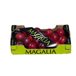 Nectarine Box 22 pieces