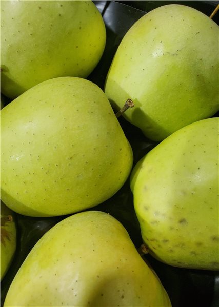 Caja Saludable Azulom FrutiFresh (20kg)-detalle