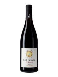 Cal Ganso