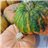 Calabaza