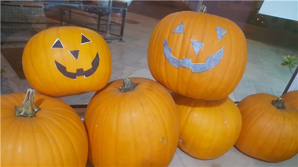 CALABAZA DECORACIÓN-trasera