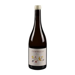 Cámbrico Pizarra Rufete Seco Vino de Calidad Sierra de Salamanca 75 cl Vino Blanco