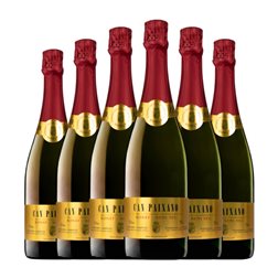 Can Paixano Semiseco 75 cl Espumoso Rosado (Caja de 6 unidades)