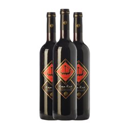 Can Rich Vi de la Terra de Ibiza Roble 75 cl Vino Tinto (Caja de 3 unidades)