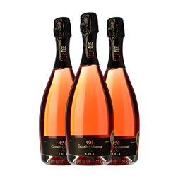 Canals & Munné Lola Pinot Negro Brut Cava Reserva 75 cl Espumoso Rosado (Caja de 3 unidades)