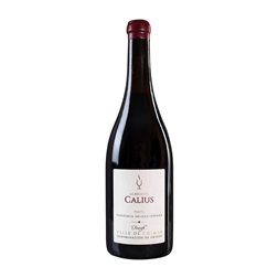 Cándido Hernández Pío Calius Seco Valle del Güímar VS Vendimia Seleccionada 75 cl Vino Tinto