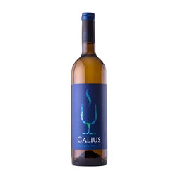Cándido Hernández Pío Calius Semiseco Valle del Güímar 75 cl Fruity — Afrutado Vino Blanco