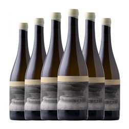 Cano 1860 Tinajas Sauvignon Seco Almansa Ánfora Bio — Biológico 75 cl Vino Blanco (Caja de 6 unidades)