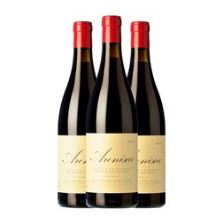 Cantalapiedra Arenisca Los Pilones Tinta de Toro Non Filtrato — Sin Filtrar, Vino de Paraje Crianza Eco — Ecológico 75 cl Vino Tinto (Caja de 3 unidades)