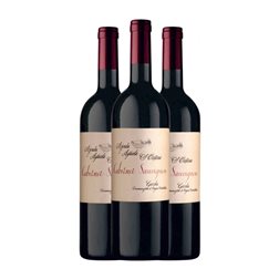 Cantina Zenato Santa Cristina Cabernet Sauvignon Trocken — Seco Garda 75 cl Vino Tinto (Caja de 3 unidades)