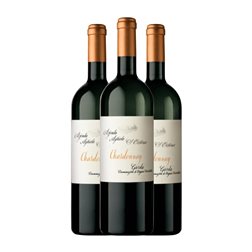 Cantina Zenato Santa Cristina Chardonnay Trocken — Seco Garda 75 cl Vino Blanco (Caja de 3 unidades)