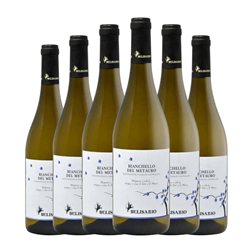 Cantine Belisario Bianchello del Metauro 75 cl Vino Blanco (Caja de 6 unidades)